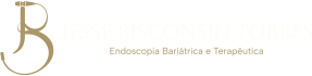 Logo Jessé Bisconsin-Branco
